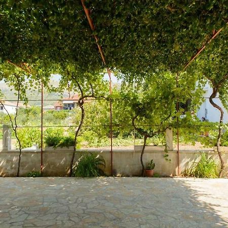 Ivana Trogir Ngoại thất bức ảnh
