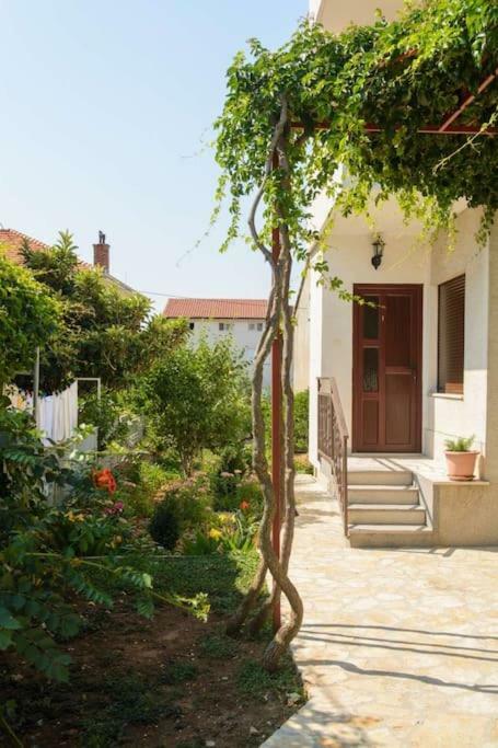Ivana Trogir Ngoại thất bức ảnh